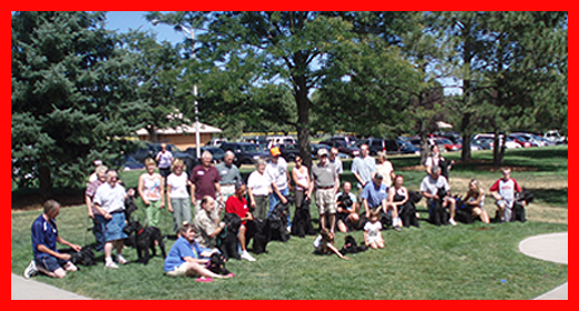 Giant Schnauzer Fun Day