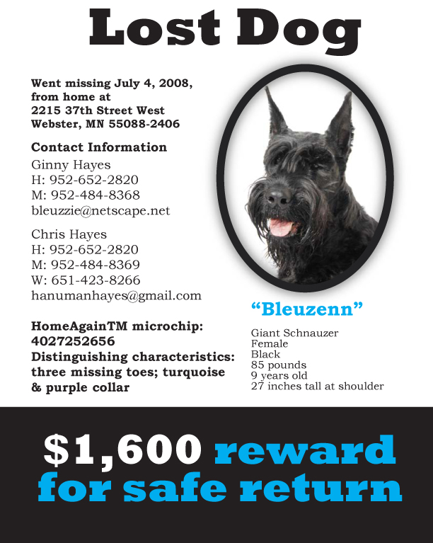 $1600 Reward for the safe return of Bleuzenn the Giant Schnauzer