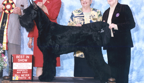 Zydeco - Best in Show