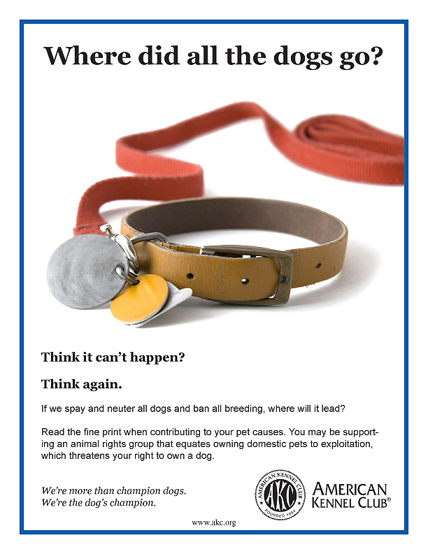 Where did all the dogs go?