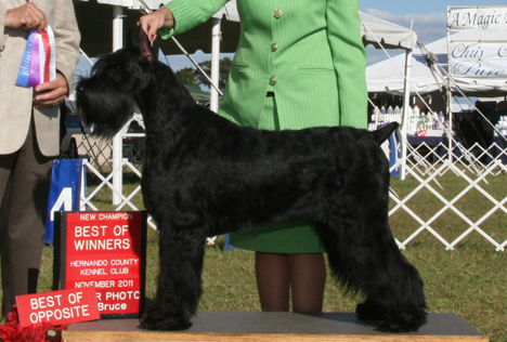 America at the GSCA Nationals - 2010