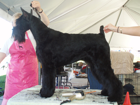 America at the GSCA Nationals - 2010