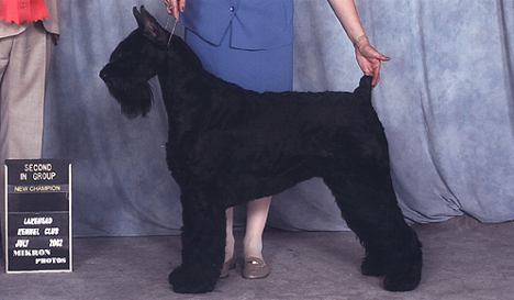 Diva earns her Canadian championship