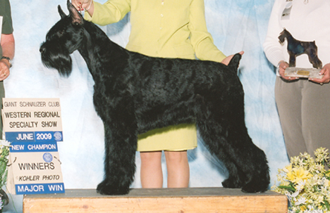 Flirt finishes with 4 majors!