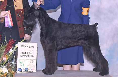 FloJo takes a major over champions