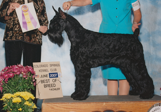 Multi Champion AzzumA's Image Is Everything